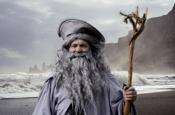 14 Last-Minute Halloween Costume Ideas for Guys with Beards - Beard Reverence